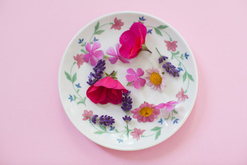 flowers on pink background