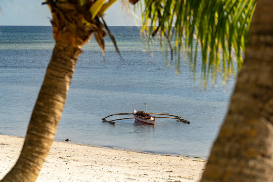 Siquijor island philippines white beach with balm trees coconut trees in the evening light, beautiful vacation swimming snorkeling relaxing