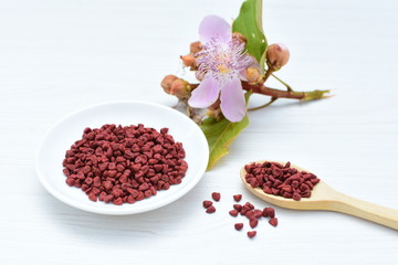 Achiote seed called Bixa orellana of America, used to flavor food