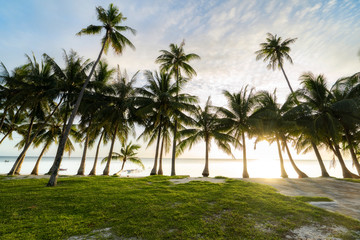 Fototapeta na wymiar Relaxing sunset at white beach on philippine island siquijor with palm tree coconut tree