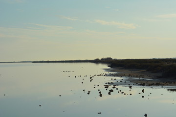 Etangs en Camargue