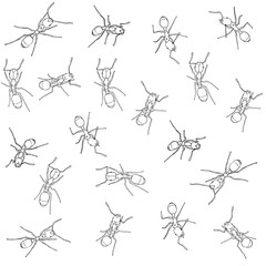 Seamless ant pattern