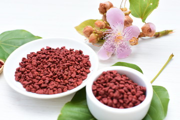 Achiote seed called Bixa orellana of America, used to flavor food