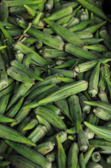 Okra