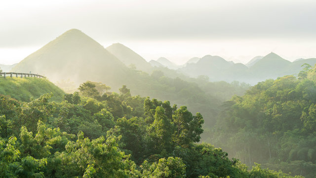 Panorama view of chocolate hills in Bohol, philippines at sunrise, mist fog, carmen, Asia