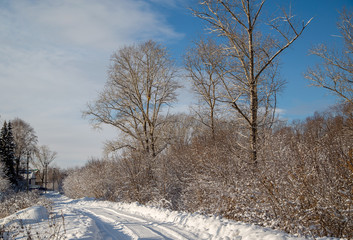 winter landscape road going deep into the forest