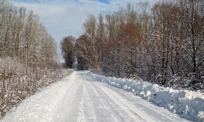 winter landscape road going deep into the forest