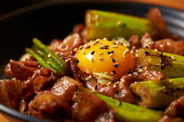 Grilled pork with scallion and egg rice bowl 