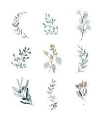 set of botanical elements for design