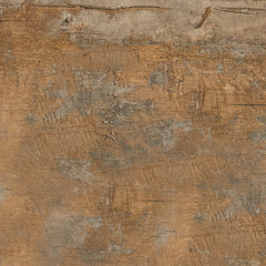 Beautiful Wooden Texture Closeup