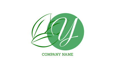 Vector logo design with leaves with letter Y. Sophisticated business sign template, ID card, label, restaurant sign. Calligraphic elegant frame for initials.