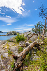 Fototapeta na wymiar View over Horseshoe Bay Whyte Cliff park in West Vancouver, Canada.