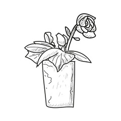 Sketch of a flower in a vase