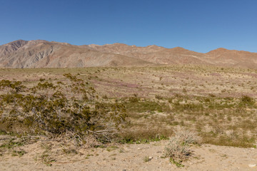 Desert landscape with mountains and blue sky