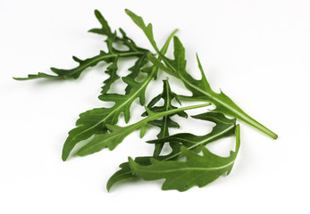 fresh rucola leaves isolated on white background