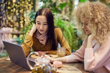 Two young women using laptop computer and working online while sitting in cafe