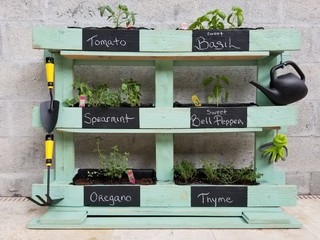 DIY Herb garden