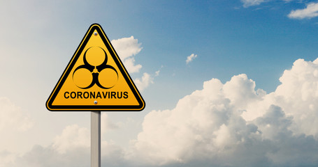 New coronavirus 2019-ncov. 3D medical illustration