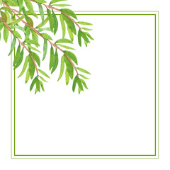 Watercolor hand painted nature eco composition with green leaves on branches in the corner and squared border frame on the white background for invitations and greeting cards with the space for text