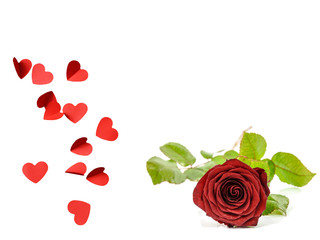 Herzen mit Roter Rose Valentinstag Template