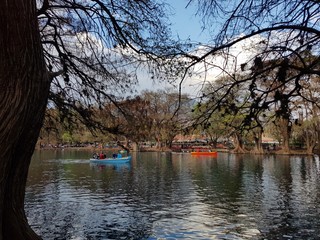 Boats sailing on Lake Camecuaro