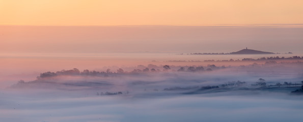 Early mist on the Somerset levels