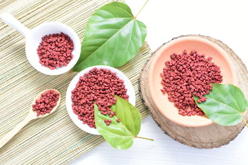 Achiote seed called Bixa orellana of America, used to flavor food