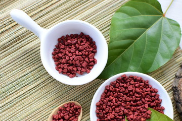 Achiote seed called Bixa orellana of America, used to flavor food