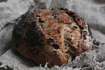 Fresh bread with raisins in hand macro