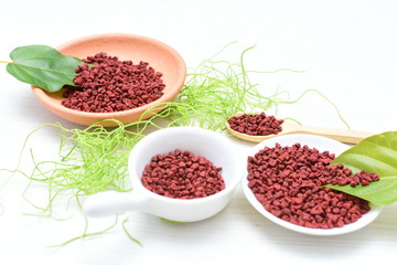 Achiote seed called Bixa orellana of America, used to flavor food
