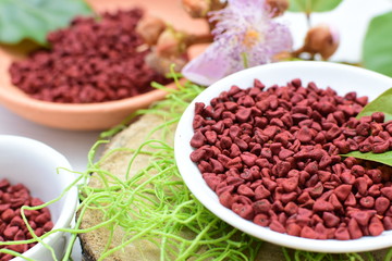 Achiote seed called Bixa orellana of America, used to flavor food