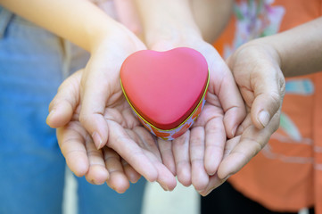 The hands of children and adults in the family have a heart in their hands.