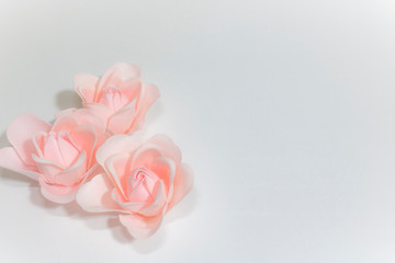 Three pink roses on a white background. Wedding.Background