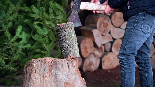Lumberjack cutting firewood with a steel ax, wooden firewood and pine tree background.