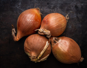 Fresh onion on the dark rustic background. Selective focus. Shallow depth of field.