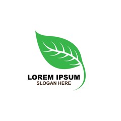 Eco icon green leaf vector illustration