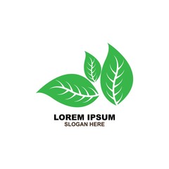 Eco icon green leaf vector illustration