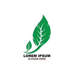 Eco icon green leaf vector illustration