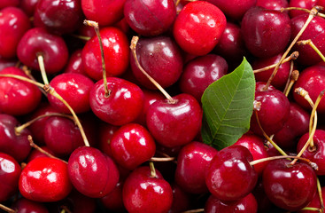 fresh cherries as backround, top view