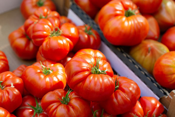 fresh tomatoes in a box on a market