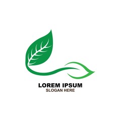 Eco icon green leaf vector illustration