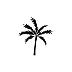 Silhouettes of palm tree. Vector icon. Black and white