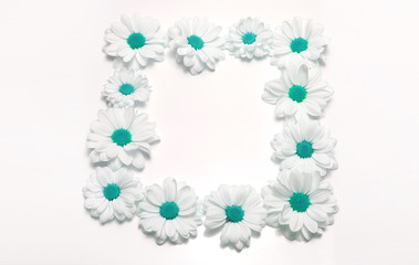 Chamomile flower frame. Nature background.