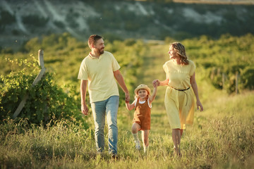 Naklejka na ściany i meble Family of three mom dad and daughter walking in a grape field.