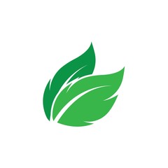 Eco icon green leaf vector illustration