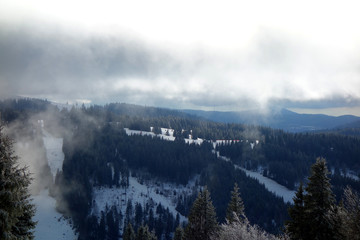 Nebelverhangene Landschaft am Feldberg im Schwarzwald. Bewaldete und schneebedeckte H&uuml;gellandschaft