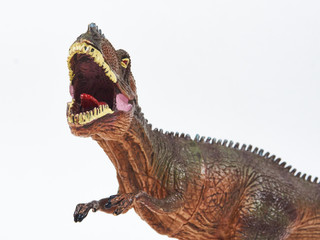 Tyrannosaur rubber toy isolated on white © Y