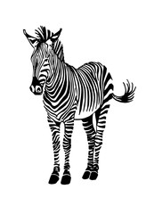 Fototapeta na wymiar Graphical zebra isolated on white background,vector illustration
