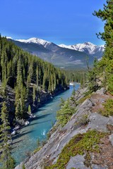 Fototapeta na wymiar Deep steep canyon with turquoise blue wild river. Mountains covered with snow, forrest on shore, blue sky, sunny day. Rocky Mountains, Canada.