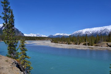 Beautiful blue Siffleur River with high mountains covered with snow in the background. Sunny day, blue sky, Kootenay plains Ecological Reserve. Canada.